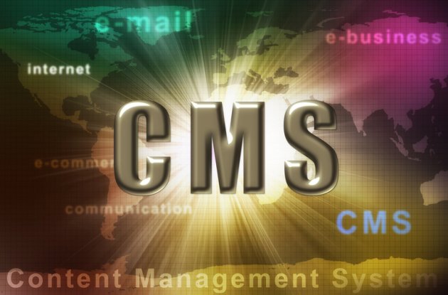 Content Management System